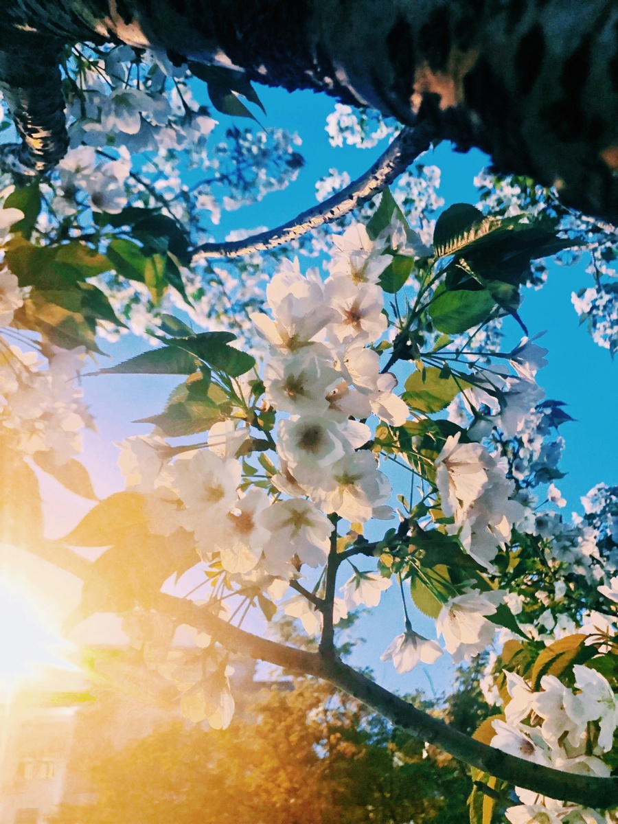Spring Cleaning for Retirement: A Balanced Wealth Blueprint Approach