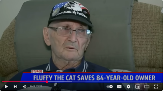 Fluffy to the Rescue!