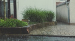 It's the rainy season. Do you have the right insurance?