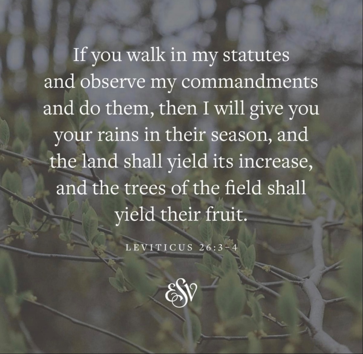 Leviticus 26:3-4