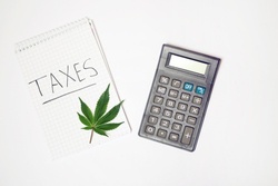 Understanding Taxes for Cannabis-Related Corporations