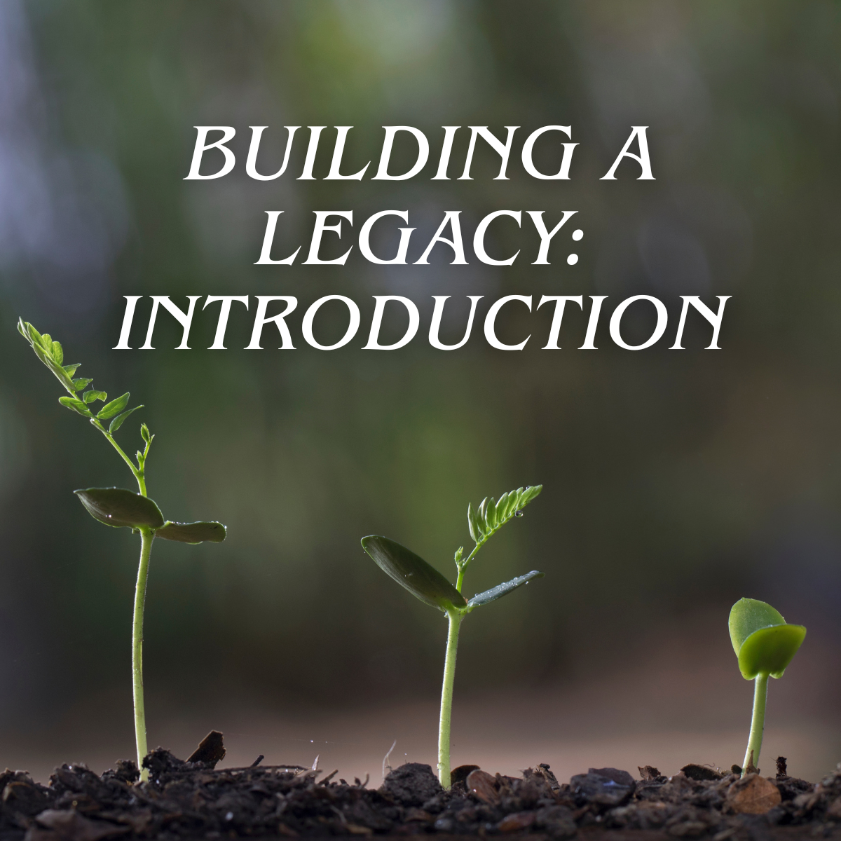 Building a Legacy: Introduction