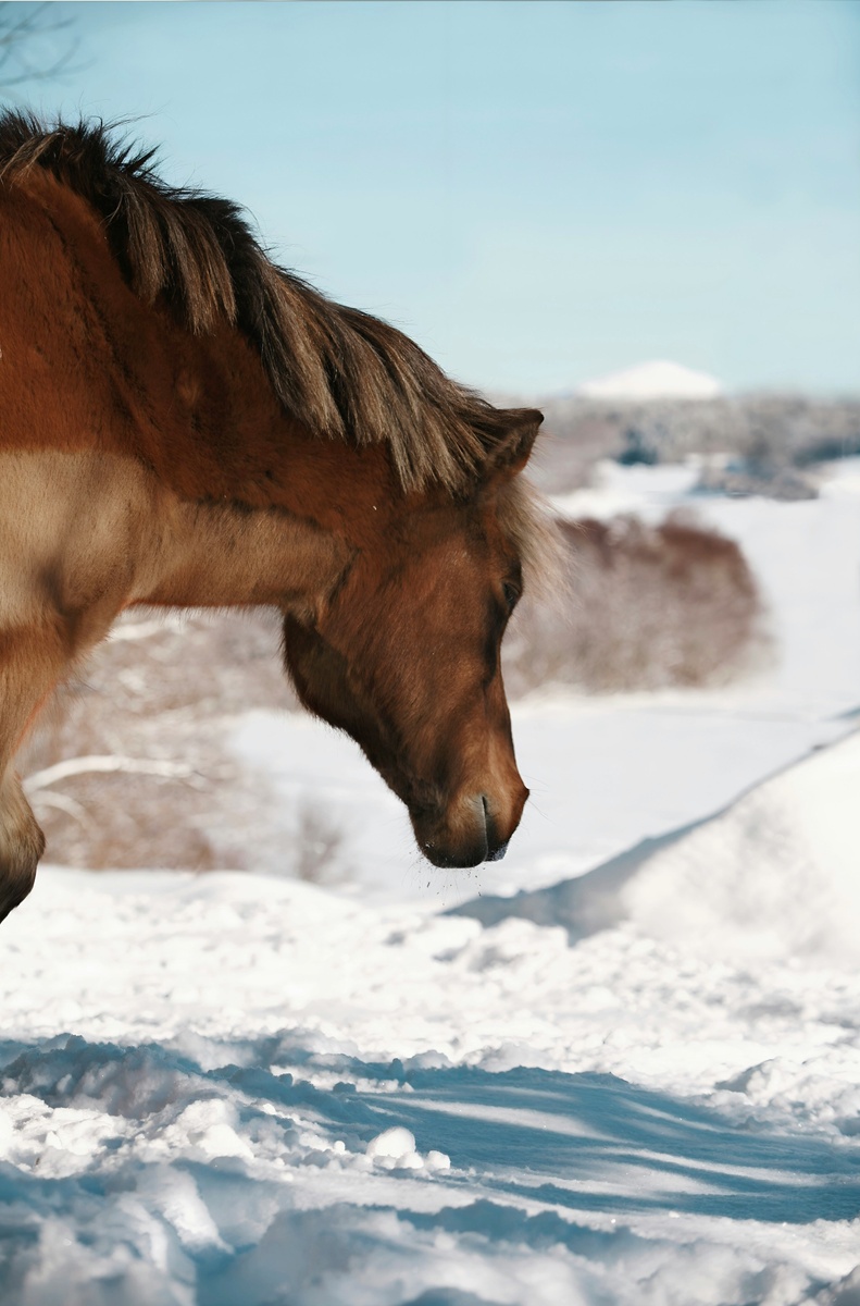 Weekly Market Insights | Markets Await Q4 Reports