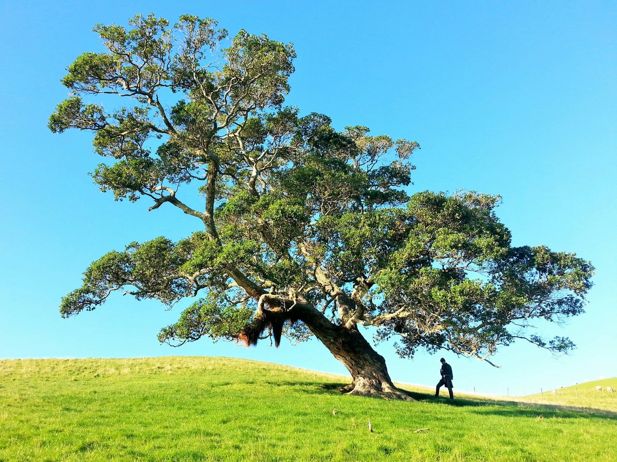 Diversifying Strategies: Building Resilience Beyond Stocks and Bonds