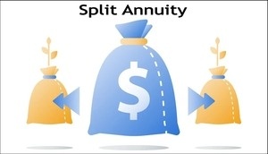 Split Annuity Strategy