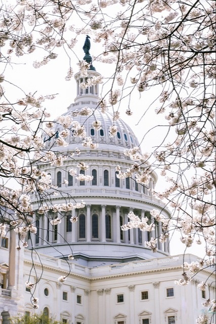 Some Tax Provisions Are Expiring in 2025 — Here’s What Experts Think About Them