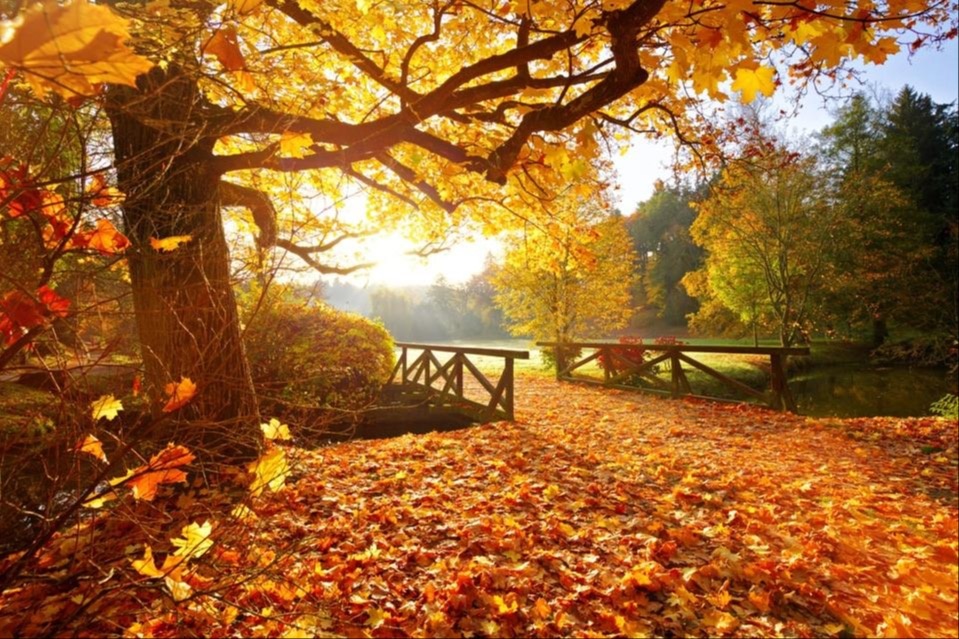 Why October Is A Special Month In The Stock Market