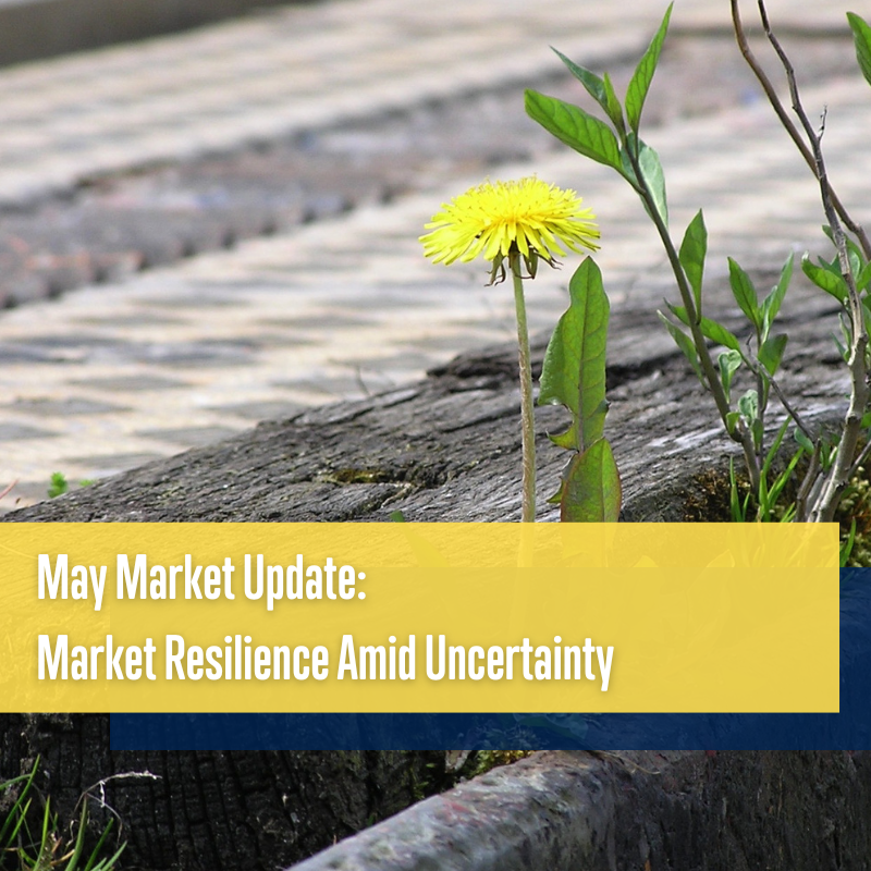 Market Resilience Amid Uncertainty