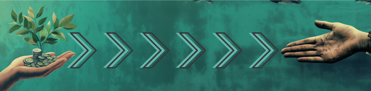 The Tax Advantage I’ve Shared for Years: Giving Appreciated Assets to Charity