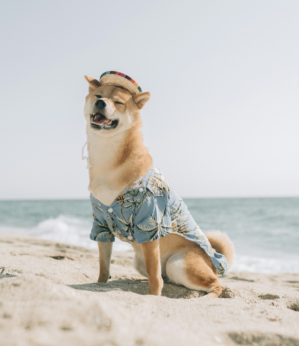 Weekly Market Insights | Markets Retreat After Data-Heavy Week