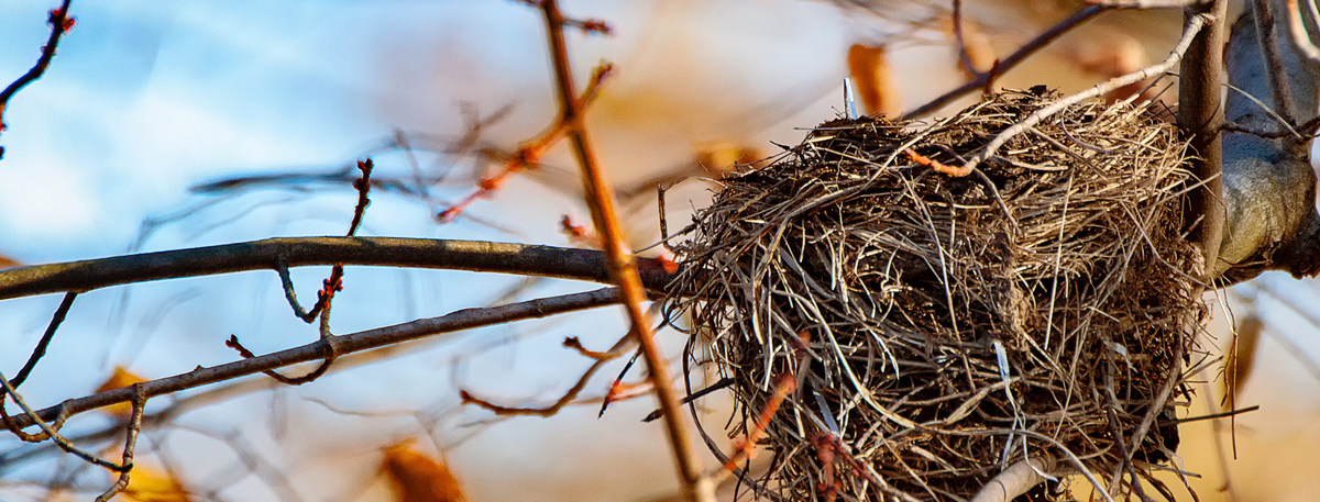 Insurance Needs Assessment: For Empty Nesters and Retirees