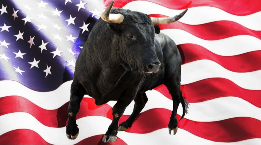 Weekly Market Insights: Mixed Message From Fed Chair, Governor