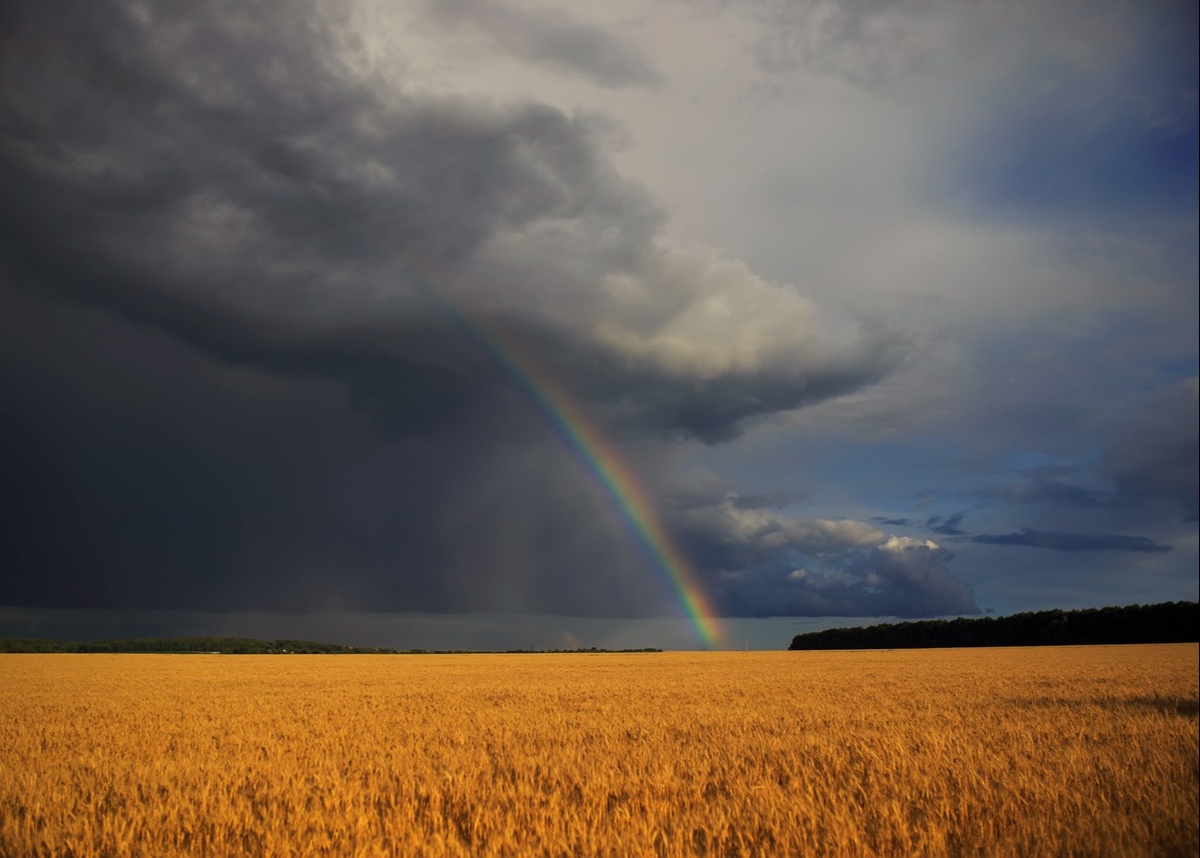 How the Wealthy Navigate Stormy Weather