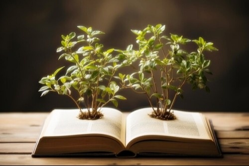 Faith-Based Investing FAQ: What Christians Need to Know