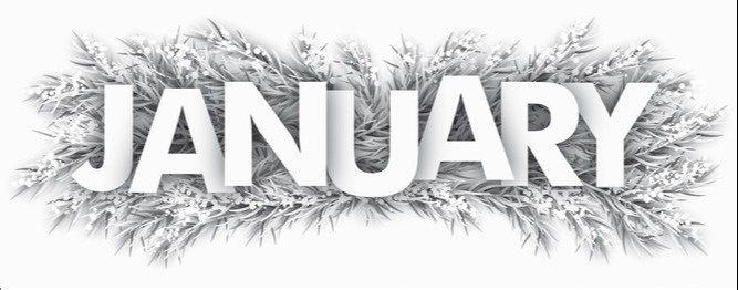 Tori & Alex's January 2022 Newsletter