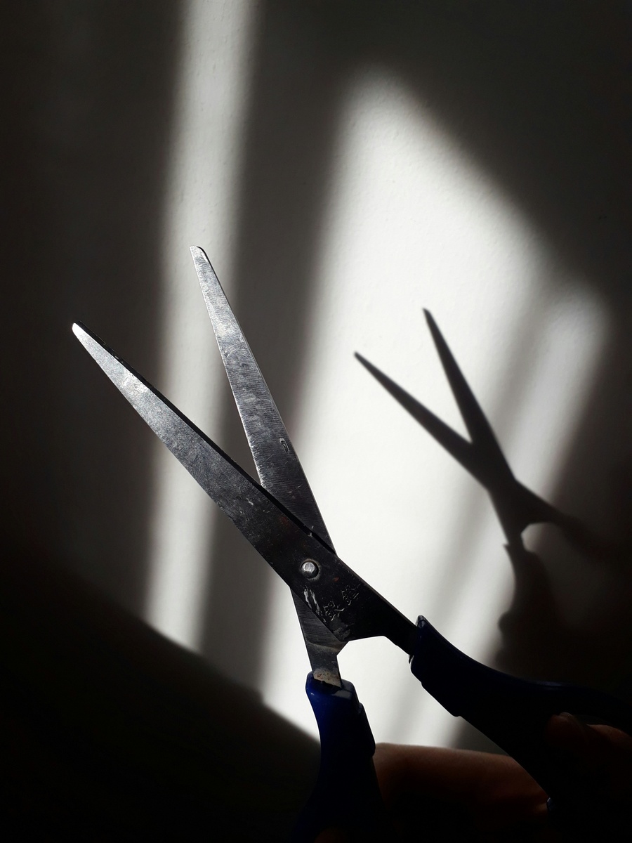 Weekly Market Insights | Fed Cuts Short-Term Interest Rates