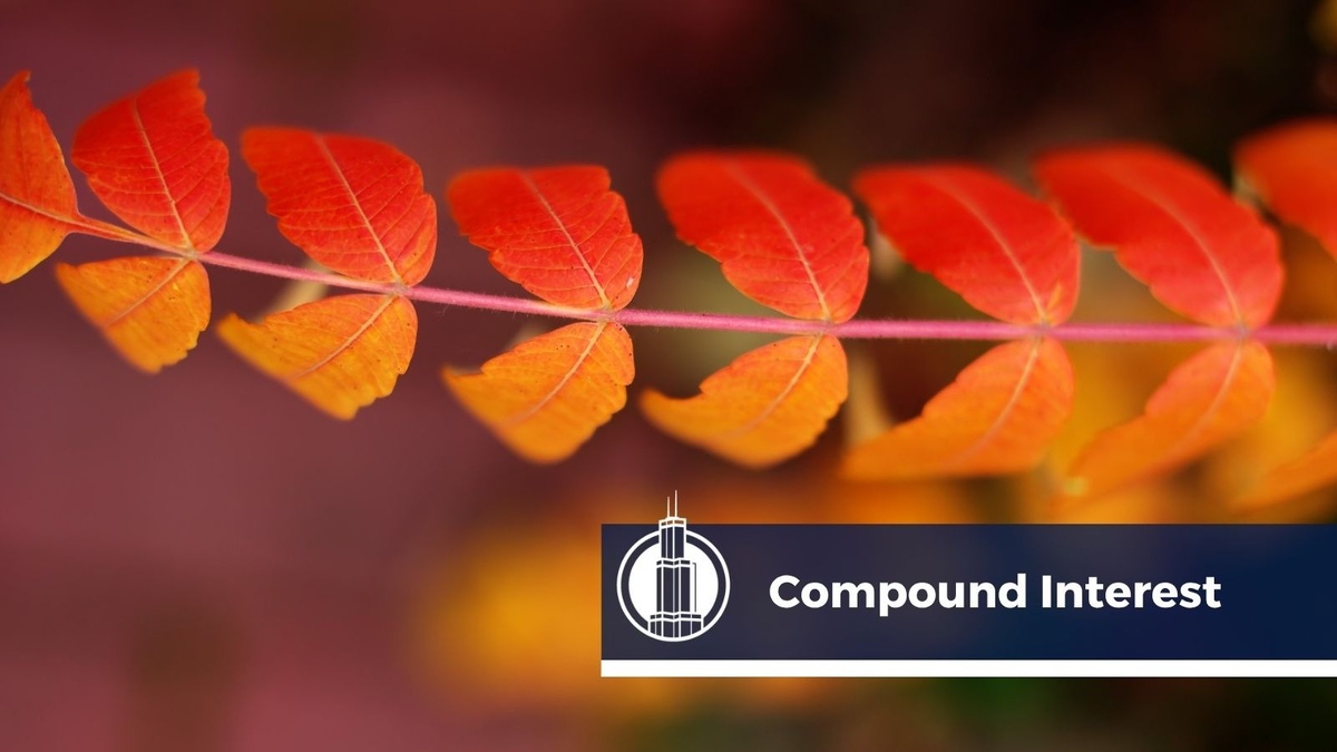 How to Take Advantage of Compound Interest