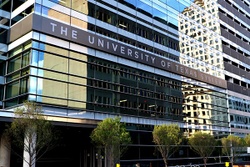 Understanding Your University of Texas Retirement Benefits
