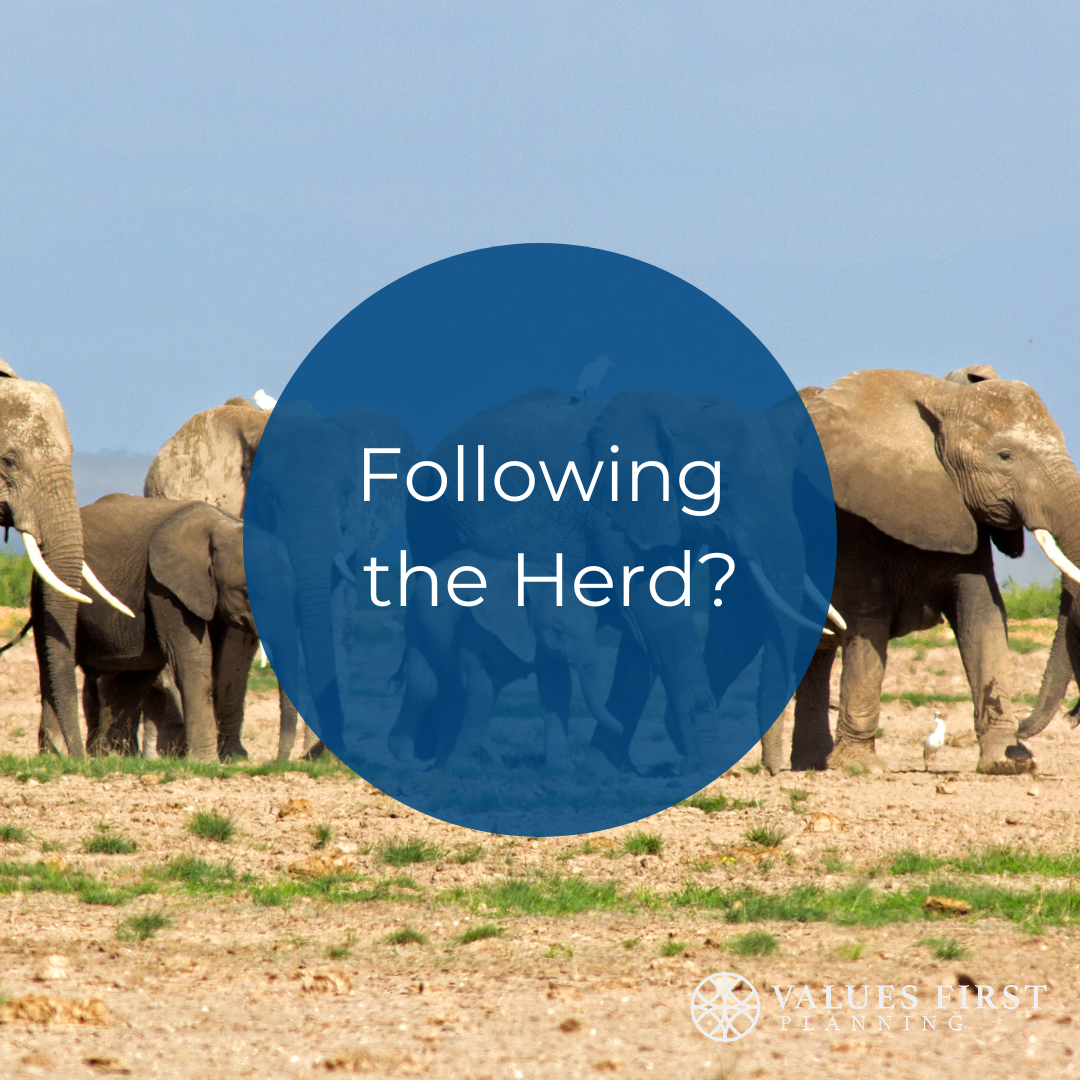 Are We Following the Herd?