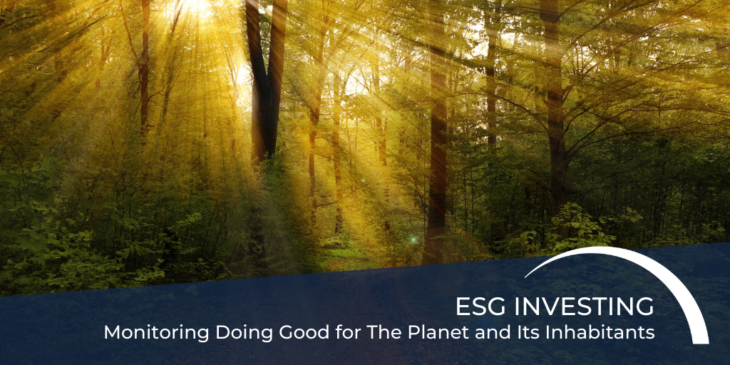 ESG Investing: Monitoring Doing Good for The Planet and Its Inhabitants