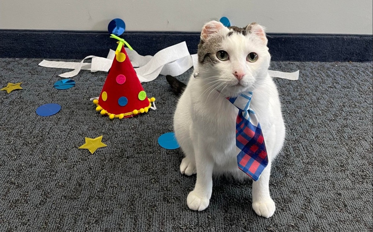 Olaf's 4th Birthday!