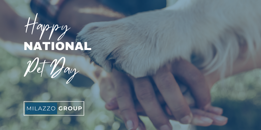 Financial Planning For Your Pets Really is a Thing