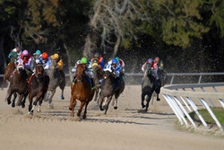 Roth 401(k) vs. Traditional 401(k) | Which one will get you to the Finish Line?