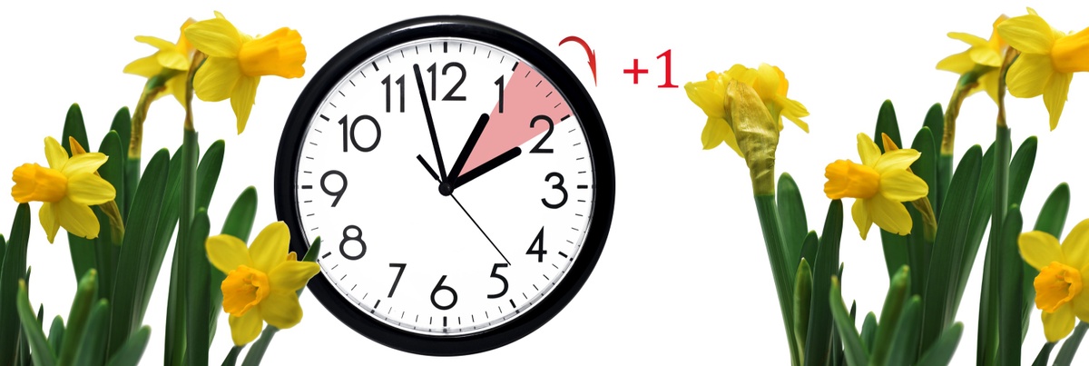 SPRING FORWARD. FALL BACK.