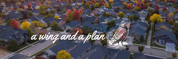 Keeping up with the Joneses