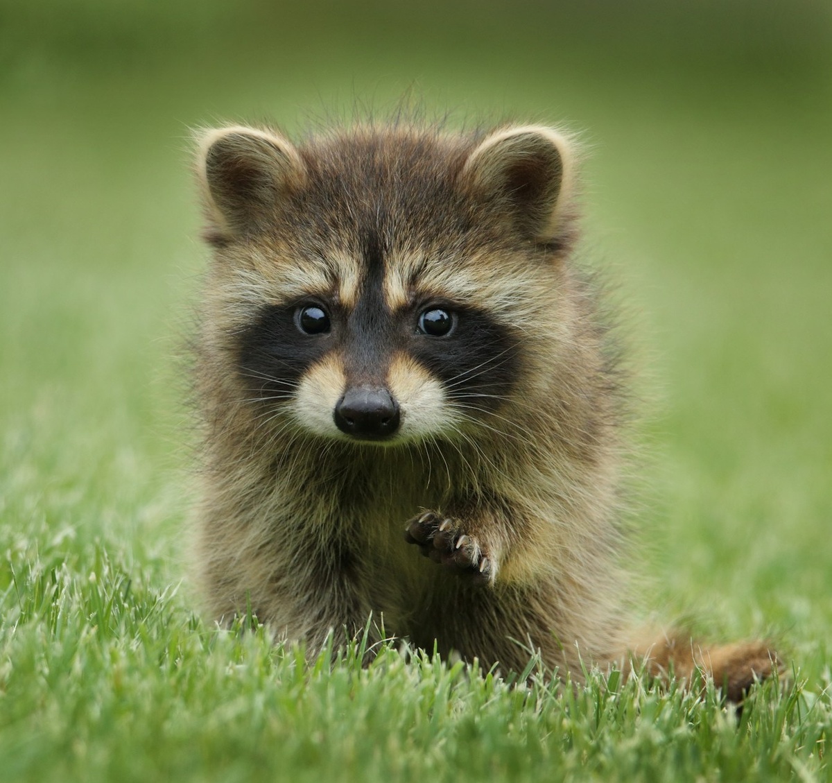 Weekly Market Insights: Stocks Narrowly Higher