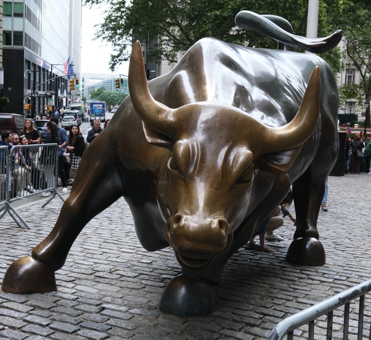 Stock Pricing and Valuation Basics