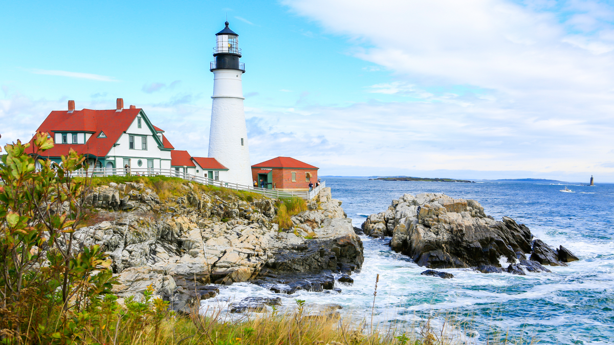 Safe Harbor 401(k) Plans: How to Maximize Contributions Without Surprising Costs