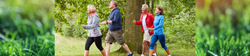 Walk This Way: The Path to Healthy Aging