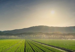 Conservative Investing in a Falling Interest Rate Environment