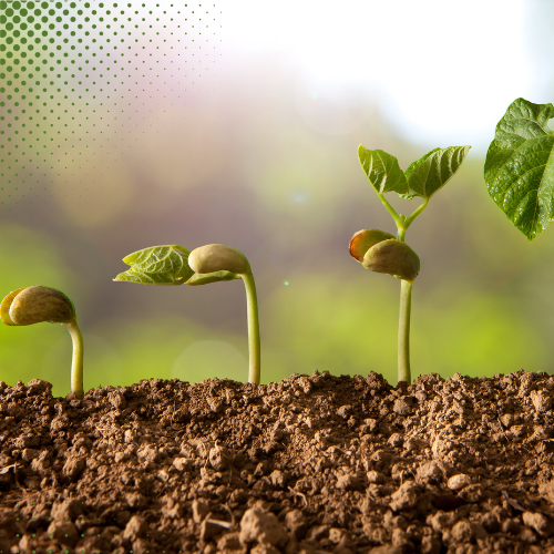 Compound Interest: Where Your Money Works Harder So You Don’t Have To