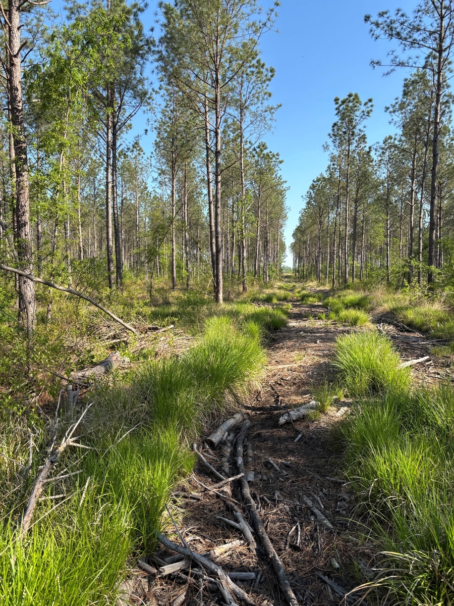 Buying Recreational Land - Tips and Guidance