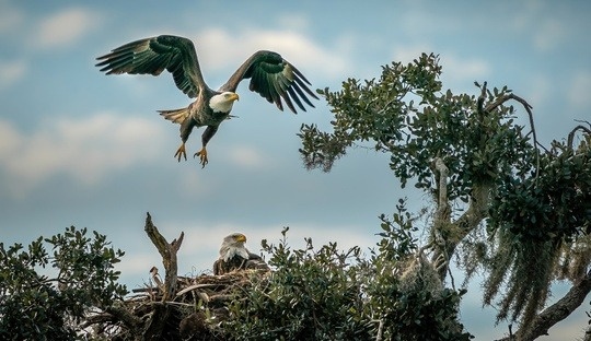 Maynerich Financial Weekly Market Insights: Mixed Data Leaves Investors Anxious