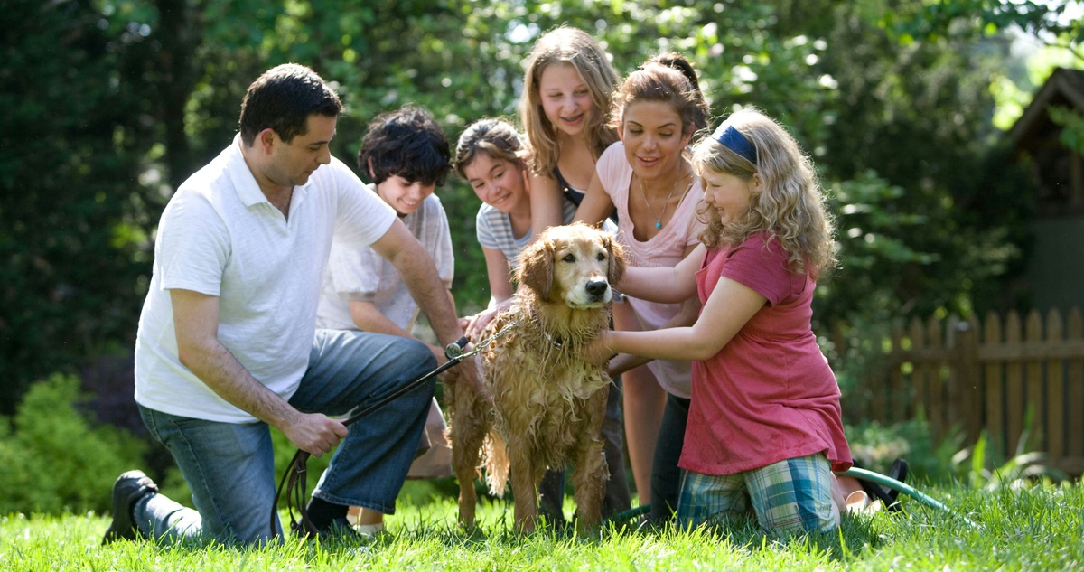 Legacy Planning for Physicians: How to Pass Down Wealth Without Passing Down Chaos