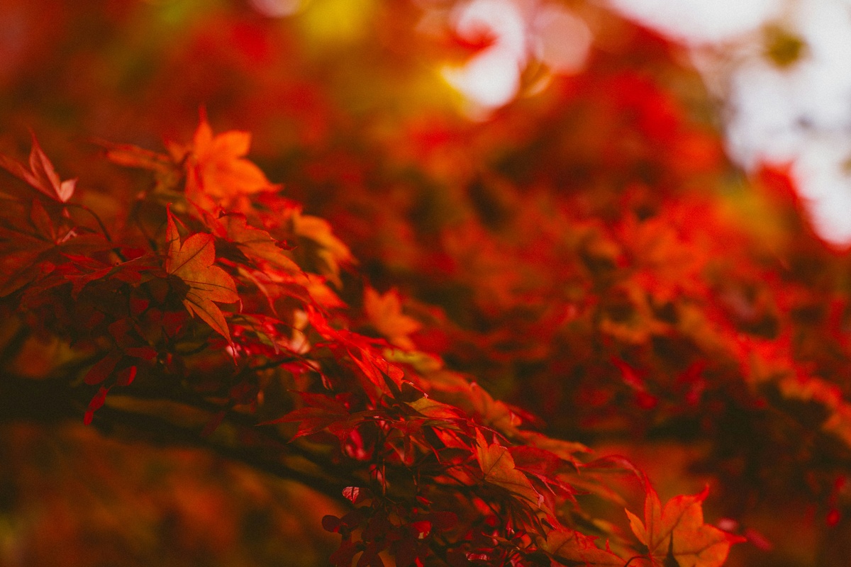 Fall Business Risks: What to Watch For (and How to Prepare Now)