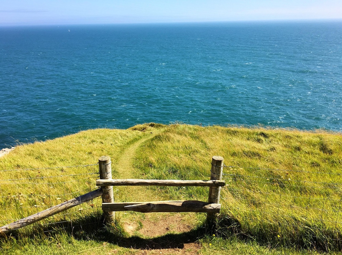 Should You Adjust Your 401(k) During Market Volatility? Read This First!