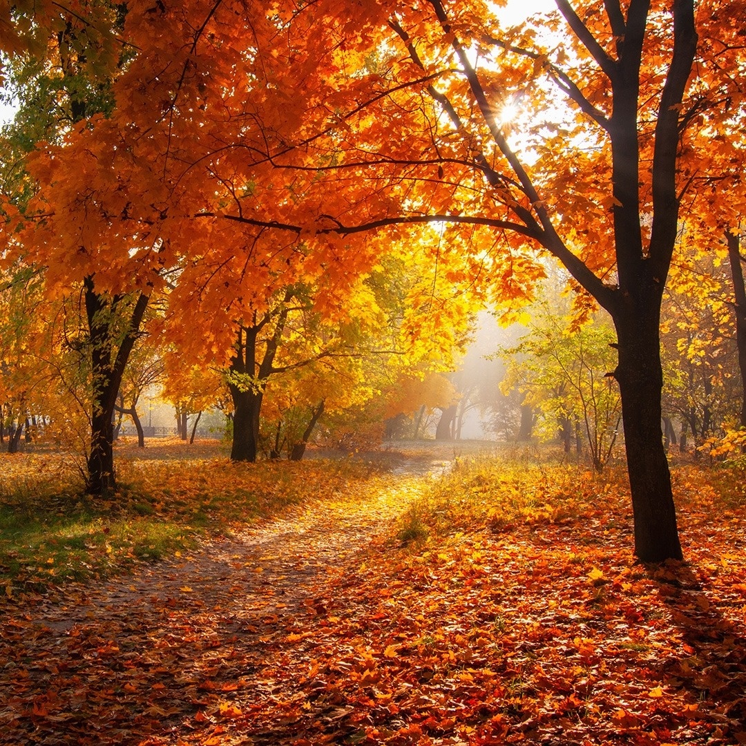 Hidden Autumn Gems: Underrated Destinations for Leaf-Peeping