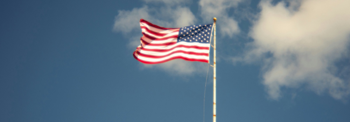 Post-Election Market Surge - November Market Update