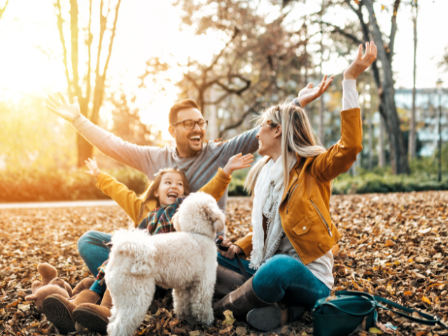 5 Steps for Successful Family Wealth Management