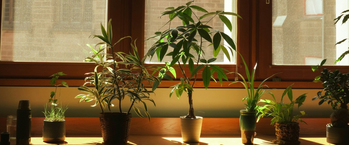 How Financial Advisors Impact Results | The Case for a Plan, Good Decisions, and Follow-Through