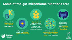 The Microbiome - Our Second Brain