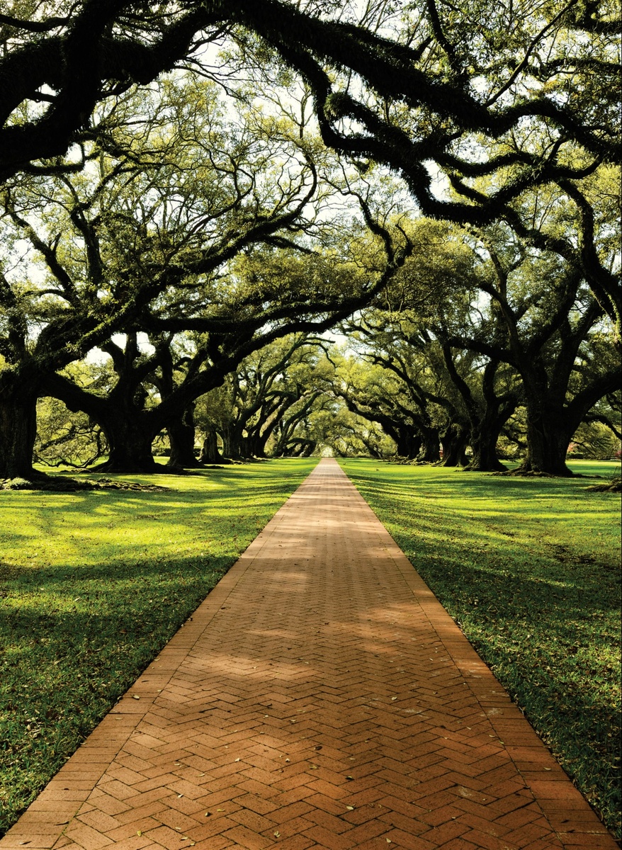 What to do on Your Trip to Savannah