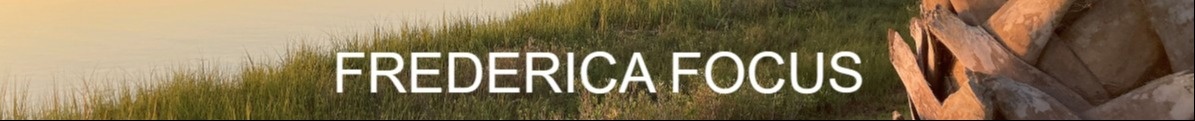 Frederica Focus - November 11, 2025