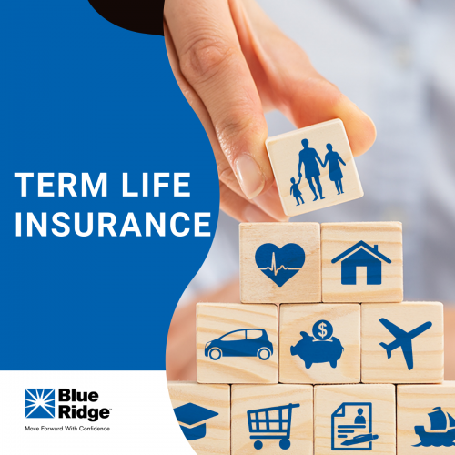 What is Term Life Insurance?