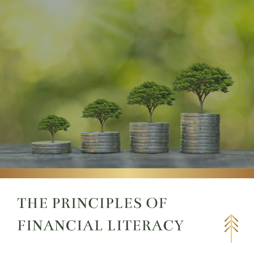 The Principles of Financial Literacy