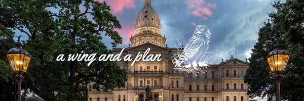 The rise of state mandated retirement plans